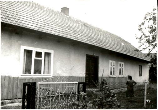 dom, skan 2
