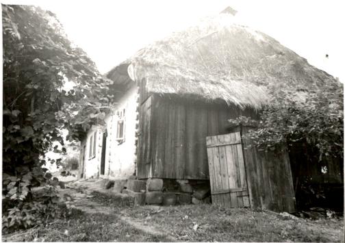 dom, skan 2