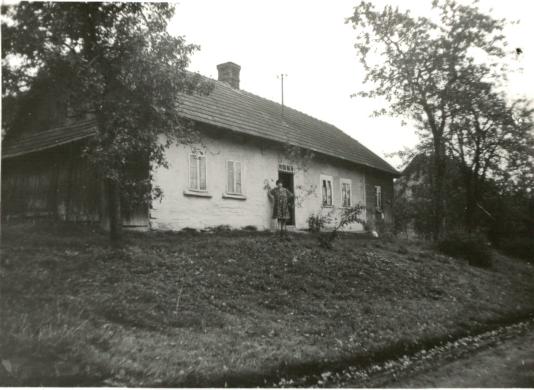 dom, skan 2
