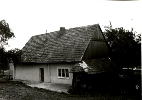 dom, skan 2