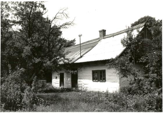 dom, skan 2