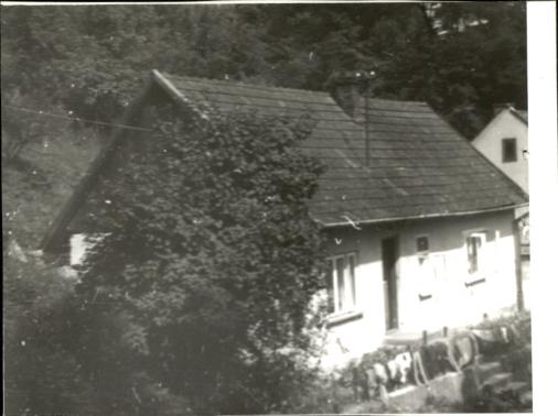 dom, skan 2