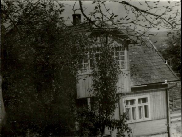 dom, skan 2