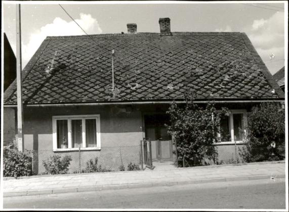 dom, skan 2
