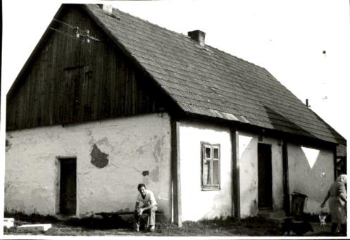 dom, skan 2