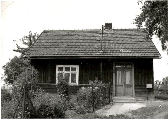 dom, skan 2
