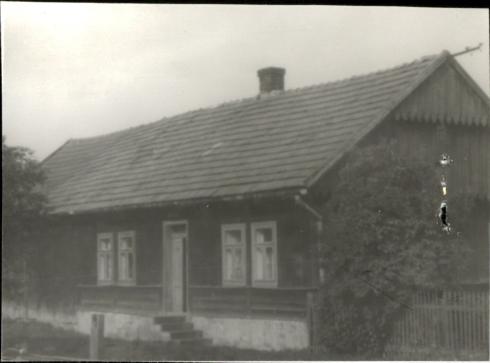 dom, skan 2