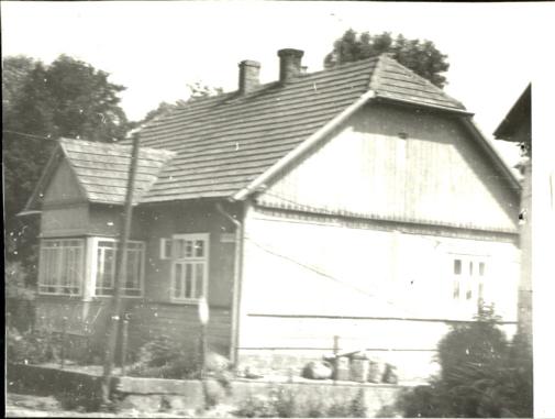 dom, skan 2