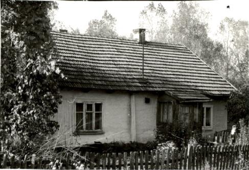 dom, skan 2