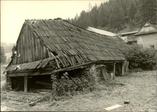 stajnia, skan 3