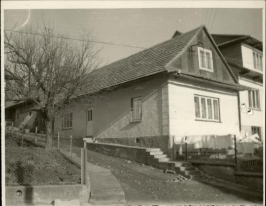dom, skan 3