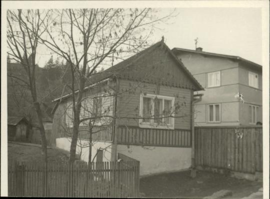 dom, skan 3