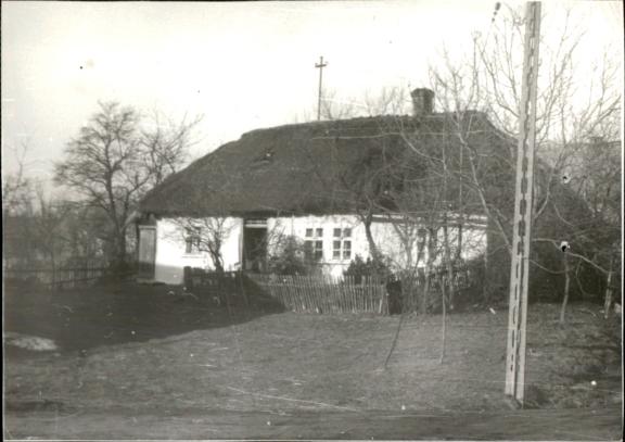 dom, skan 2