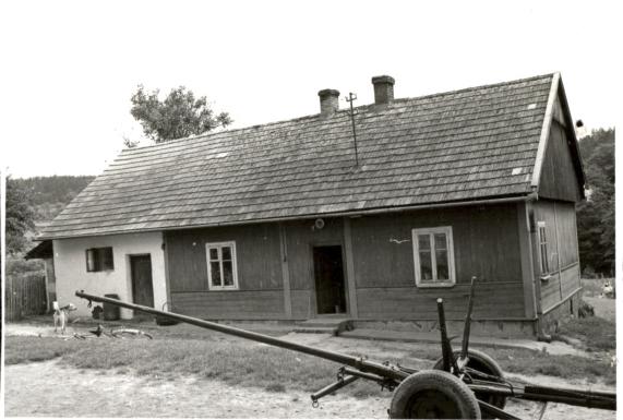dom, skan 2