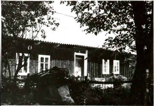 dom, skan 2