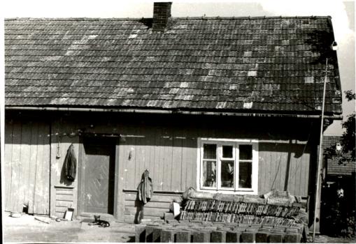 dom, skan 2