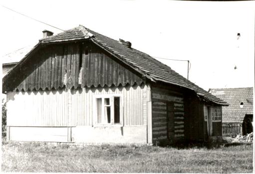dom, skan 2
