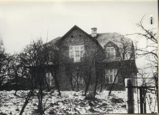 dom, skan 2