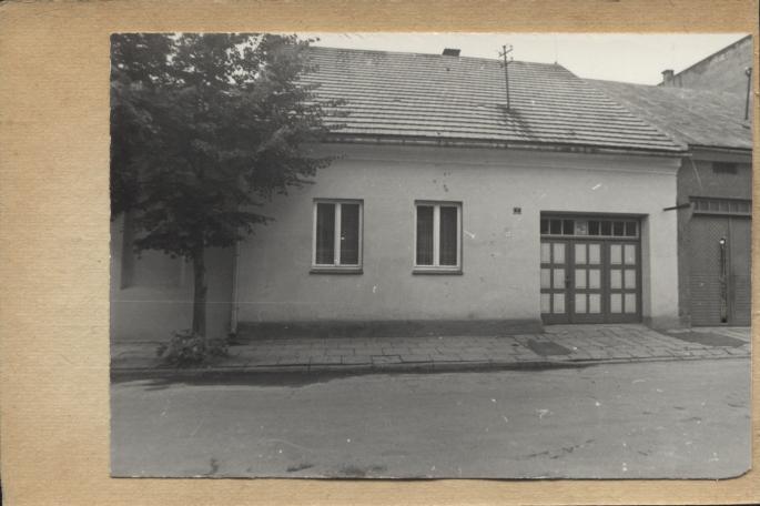 dom, skan 2