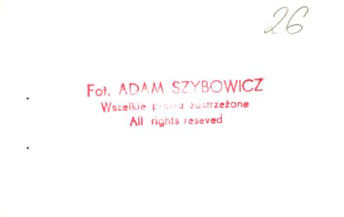 dom, skan 6