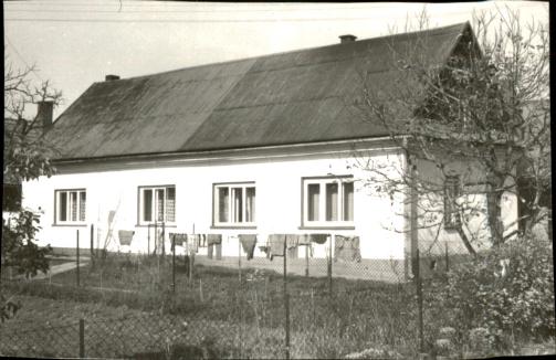 dom, skan 3