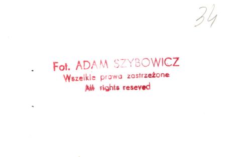 dom, skan 6