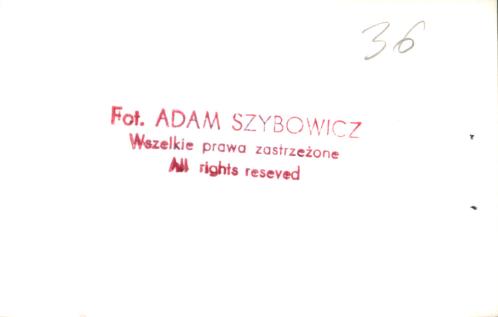 dom, skan 12