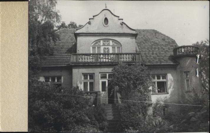 willa, skan 2