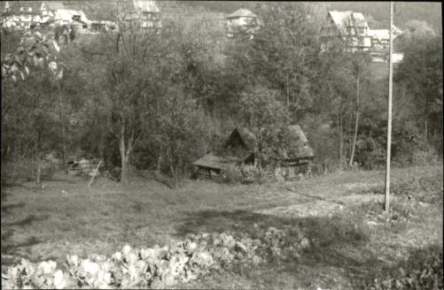 dom, skan 7