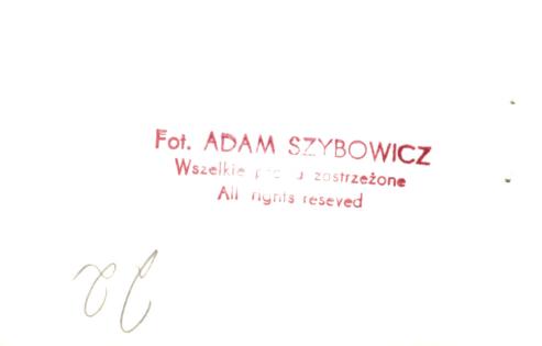 dom, skan 12