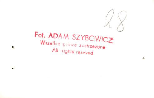 dom, skan 6