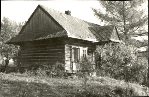 dom, skan 3