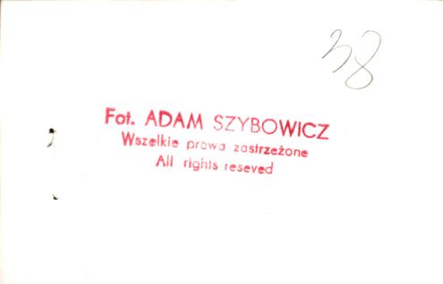 dom, skan 4