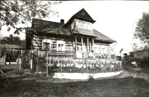 dom, skan 3
