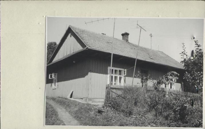 dom, skan 2
