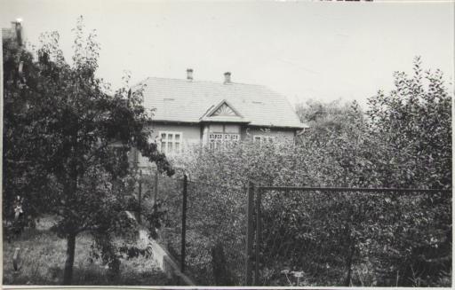 dom, skan 3