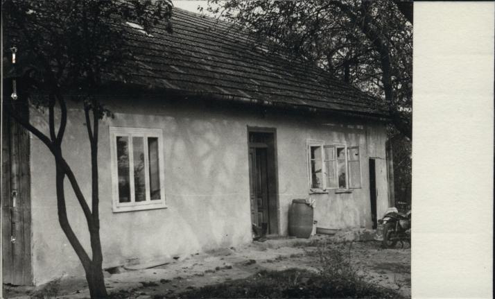 dom, skan 2