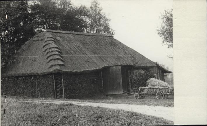 stodoła, skan 2