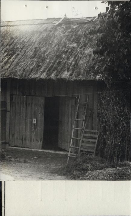 zagroda - stodoła, skan 3