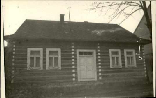 dom, skan 2