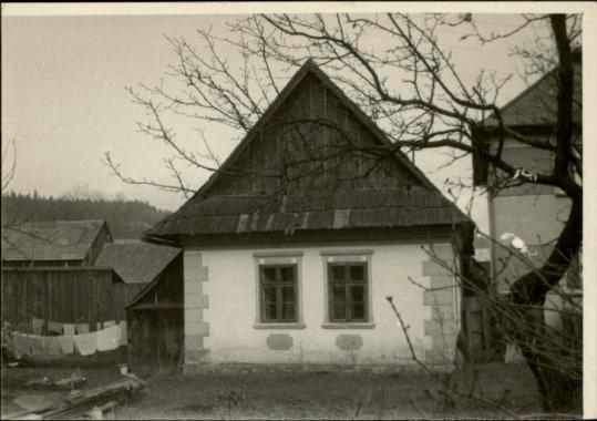 dom, skan 3