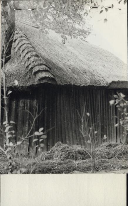 zagroda - stodoła, skan 2