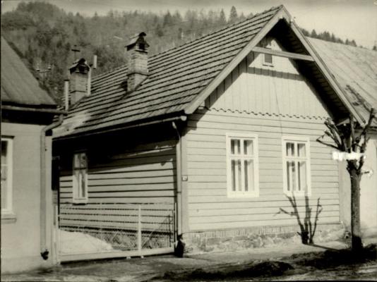 dom, skan 3