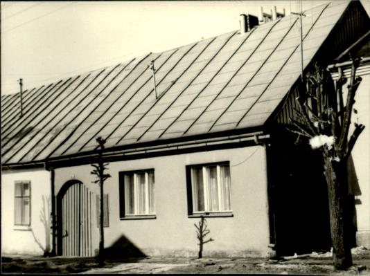 dom, skan 3