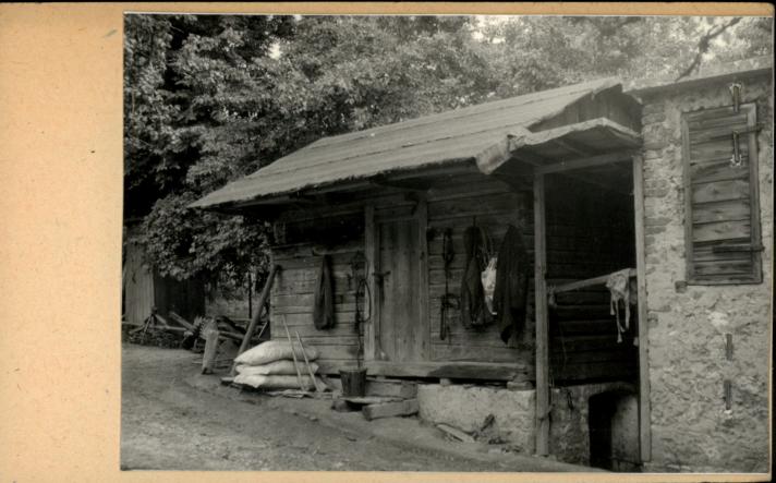 spichlerz, skan 2