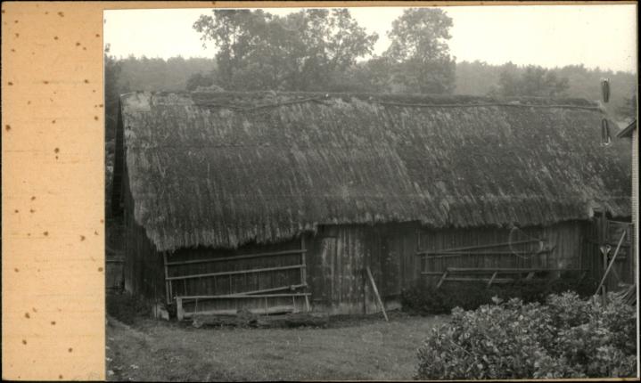 stodoła w zagrodzie, skan 2