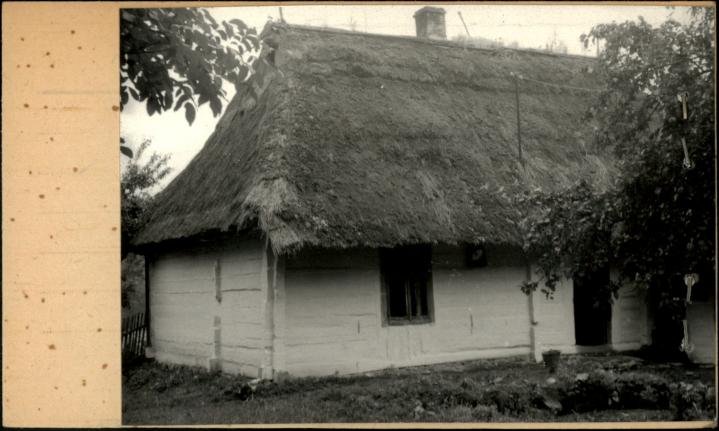 dom w zagrodzie, skan 2