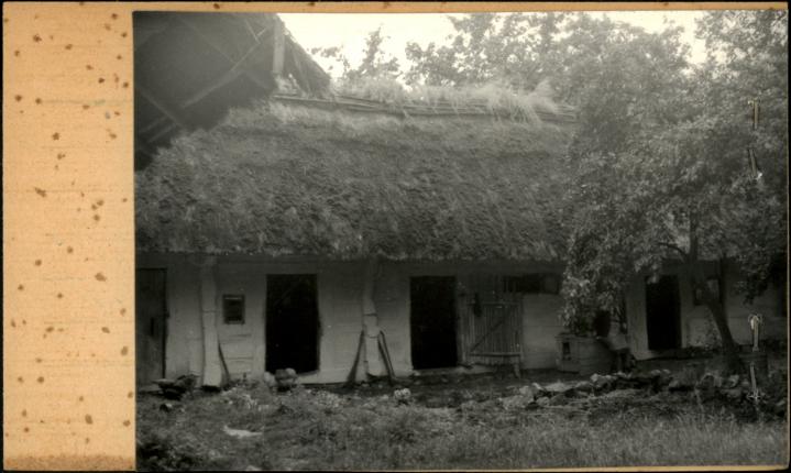 obórka w zagrodzie, skan 2