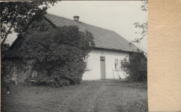 dom, skan 2