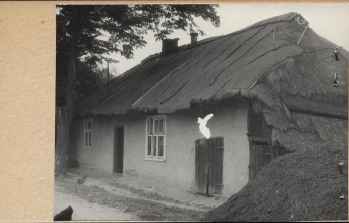 dom, skan 2
